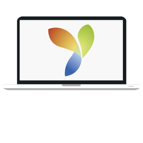 WordPress Web Development